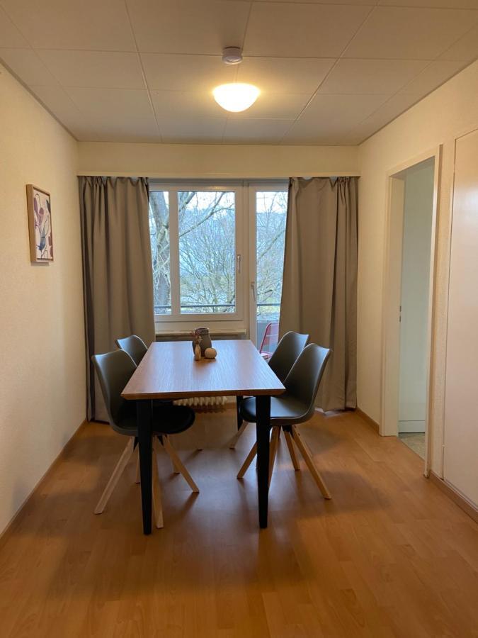 Comfort 1 And 2Bdr Apartment Close To Zurich Airport Zurique Exterior foto